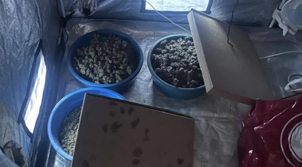 Около 1,2 кг марихуаны обнаружено в Северске после пожара в гараже