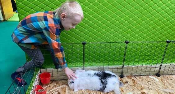 В Северске заработал бесплатный психологический центр для детей бойцов СВО